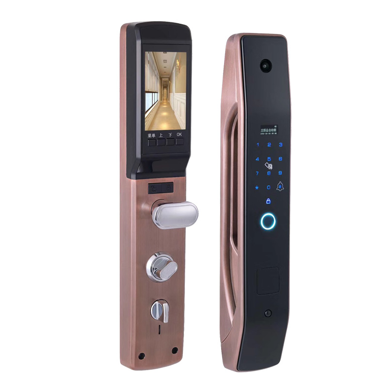 Smart Home Door Lock - HanDaily Facile da installare App di