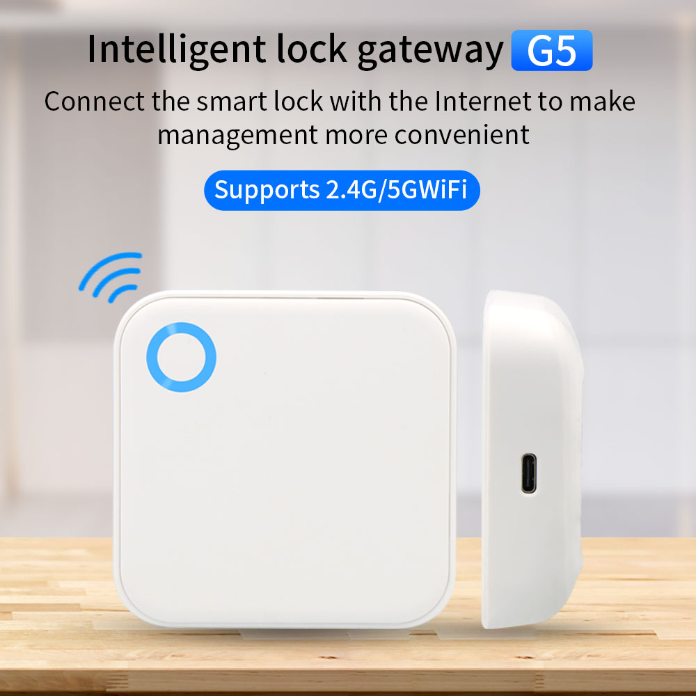 2.4G + 5G TTLOCK WIFI Gateway  - Smart Home Door Lock recensione e prezzo