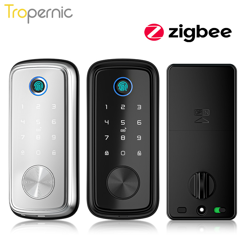 Tuya Zigbee serrature a catena - Smart Home Door Lock recensione e prezzo